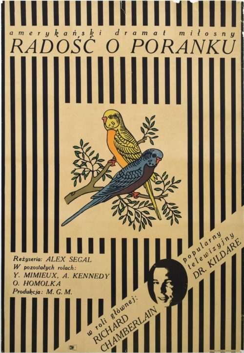 Original vintage Polish movie poster for Joy in the Morning, starring Richard Chamberlain