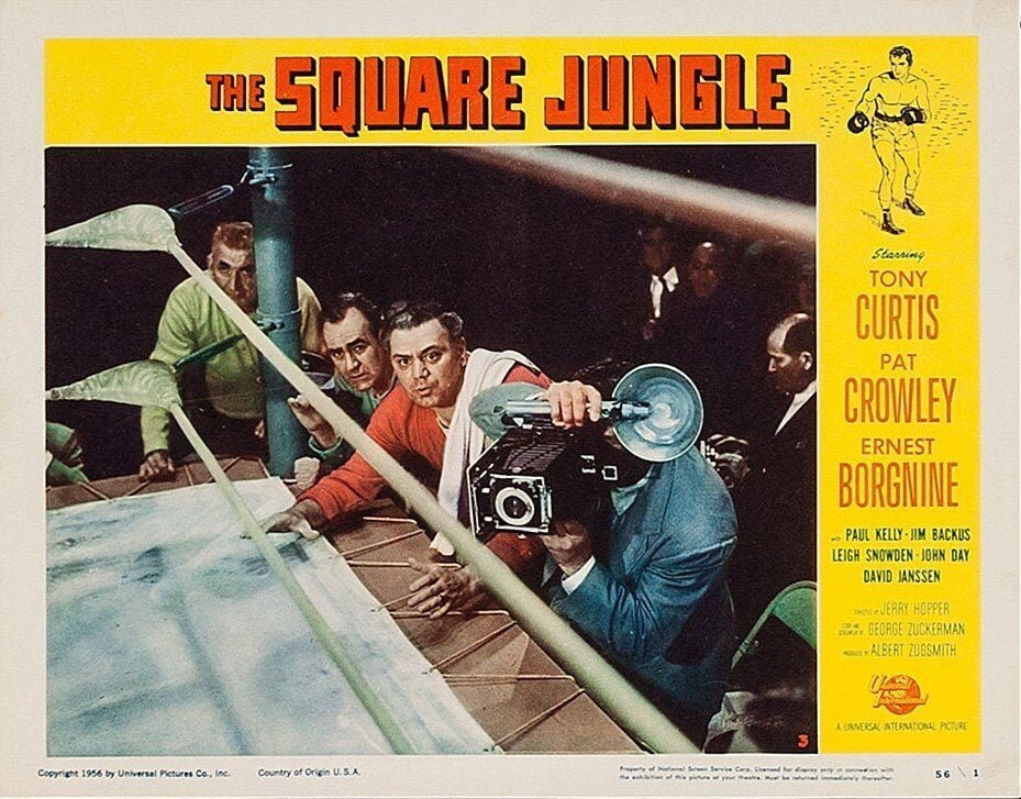 Vintage original US cinema poster for 1955 boxing film, The Square Ring starring Tony Curtis and Ernest Borgnine.
